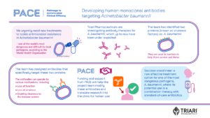 Triari project infographic